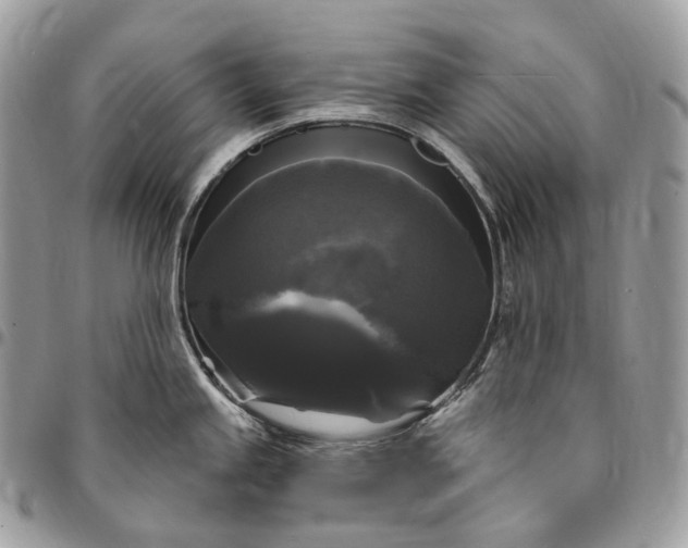 X0000095111245200712211313