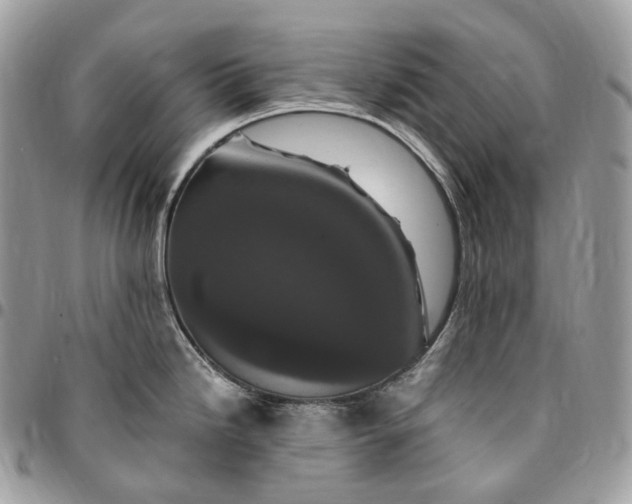 X0000095111246200712211313