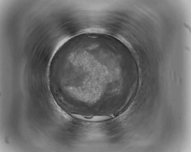 X0000095111248200712211313