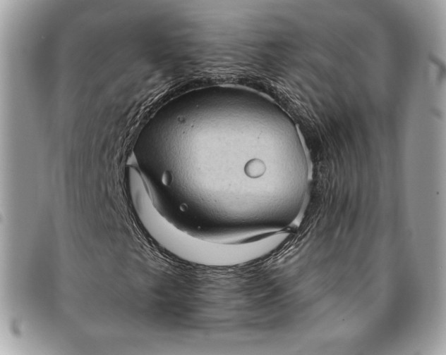 X0000095111249200712211313