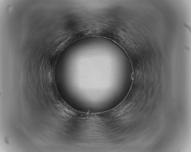 X0000095111250200712211313