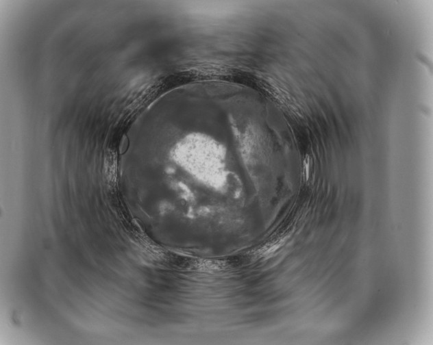 X0000095111251200712211313