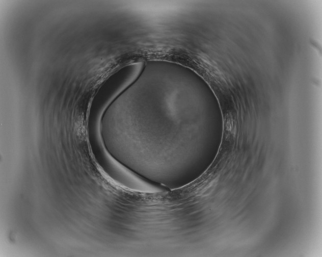 X0000095111252200712211313