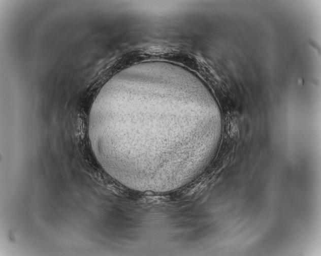 X0000095111253200712211313