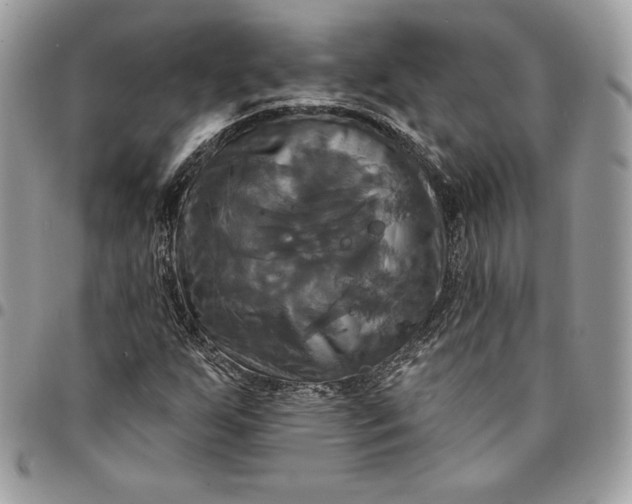 X0000095111255200712211313