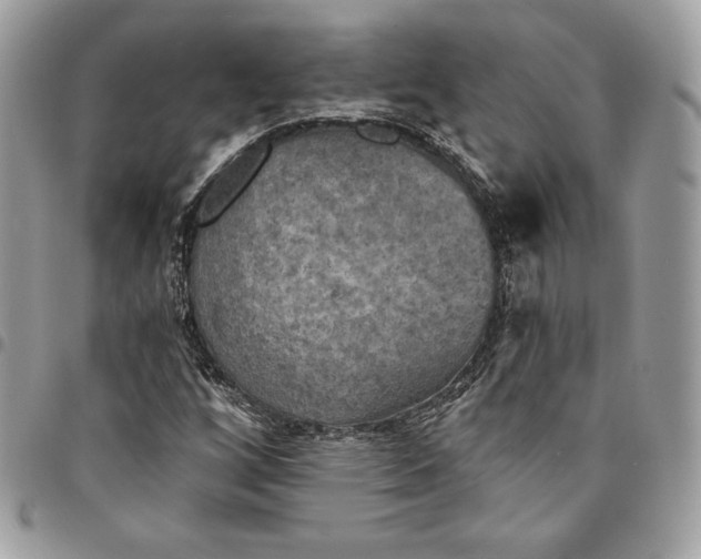 X0000095111256200712211313