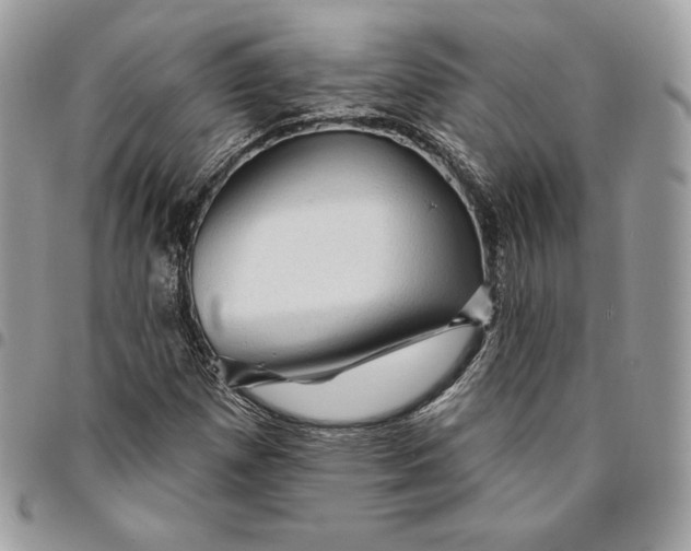 X0000095111257200712211313