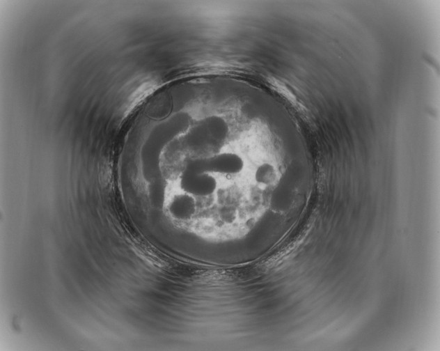 X0000095111259200712211313