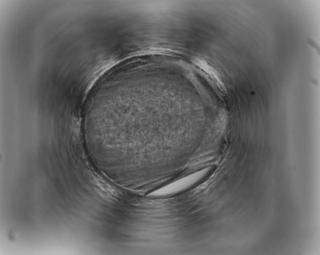 X0000095111260200712211313