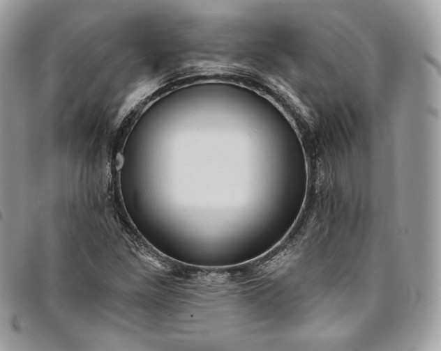 X0000095111261200712211313