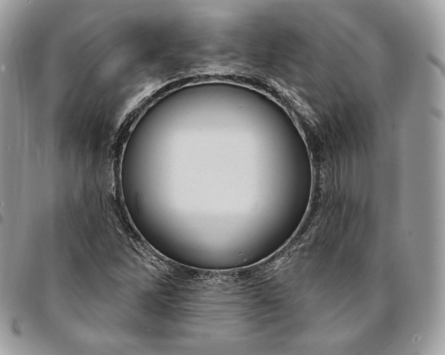 X0000095111262200712211313