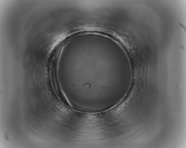 X0000095111263200712211313