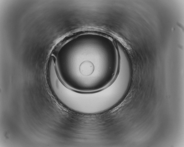 X0000095111264200712211313