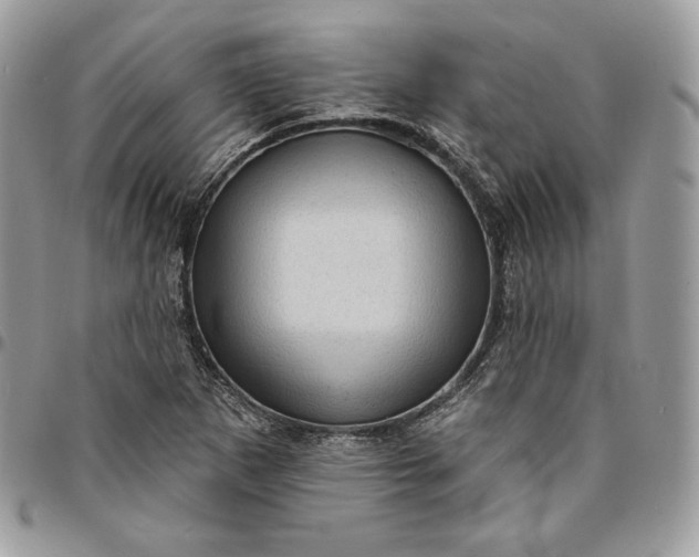 X0000095111265200712211313