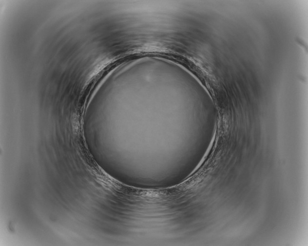 X0000095111266200712211313