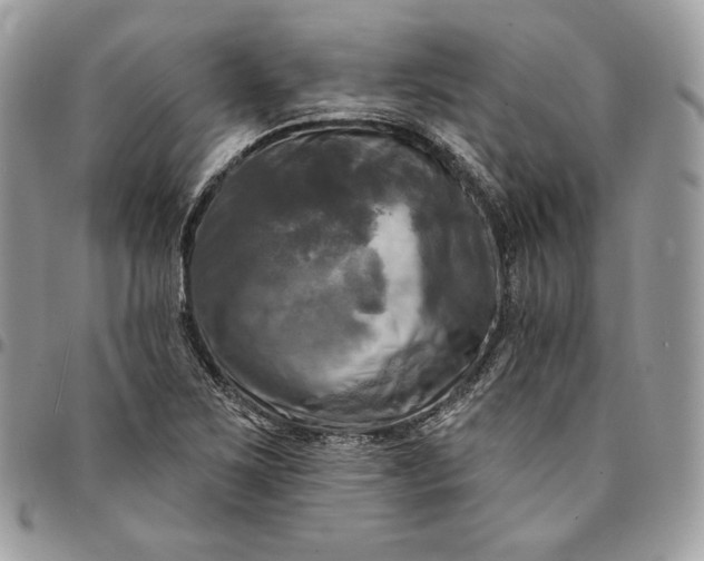 X0000095111267200712211313