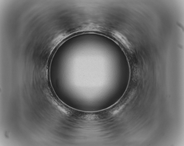 X0000095111268200712211313