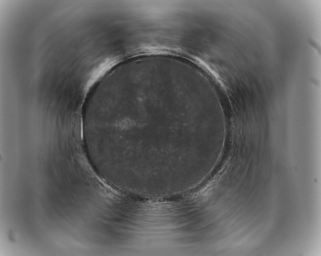 X0000095111269200712211313