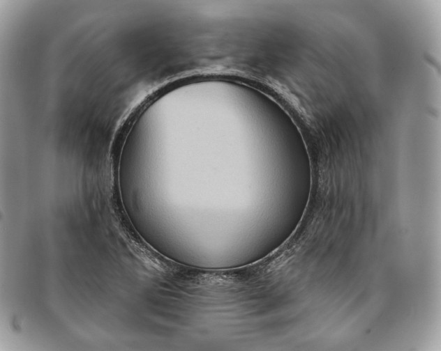 X0000095111270200712211312