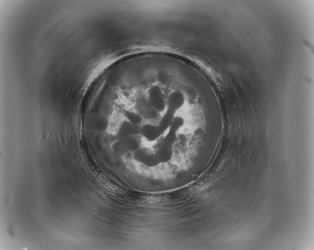 X0000095111271200712211312