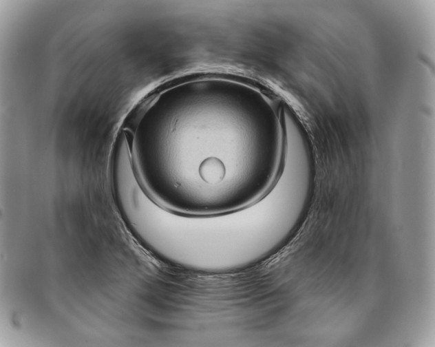 X0000095111272200712211312