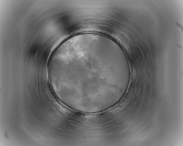 X0000095111274200712211312