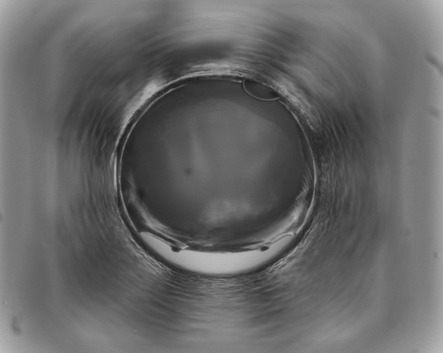 X0000095111275200712211312