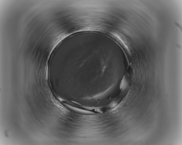 X0000095111276200712211312