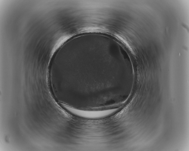 X0000095111277200712211312