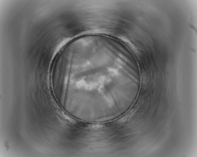 X0000095111278200712211312