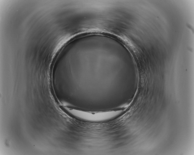 X0000095111279200712211312