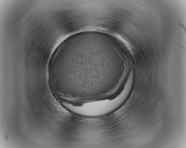 X0000095111280200712211312