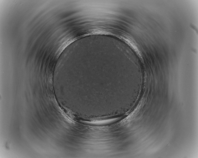 X0000095111281200712211312