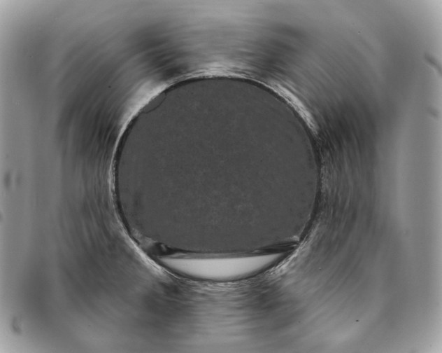 X0000095111285200712211312