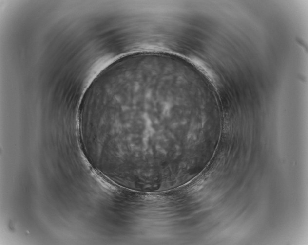 X0000095111287200712211312