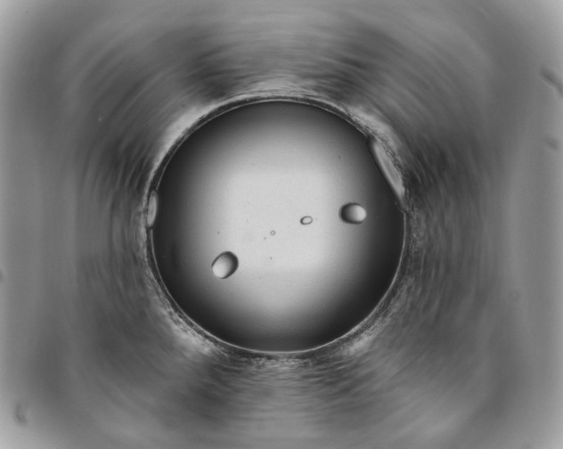 X0000095111288200712211312