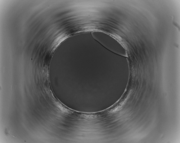 X0000095111289200712211312