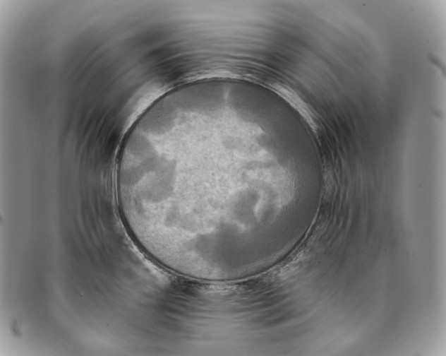 X0000095111290200712211312