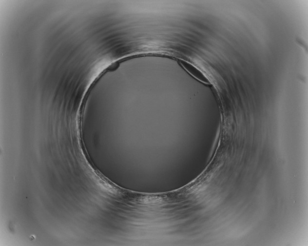 X0000095111291200712211312