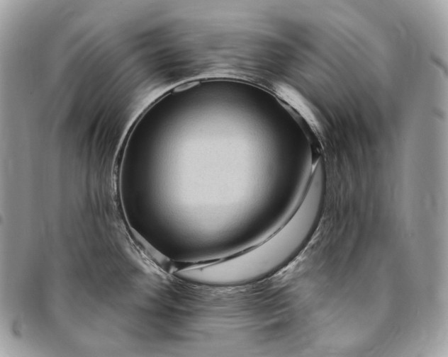 X0000095111292200712211312