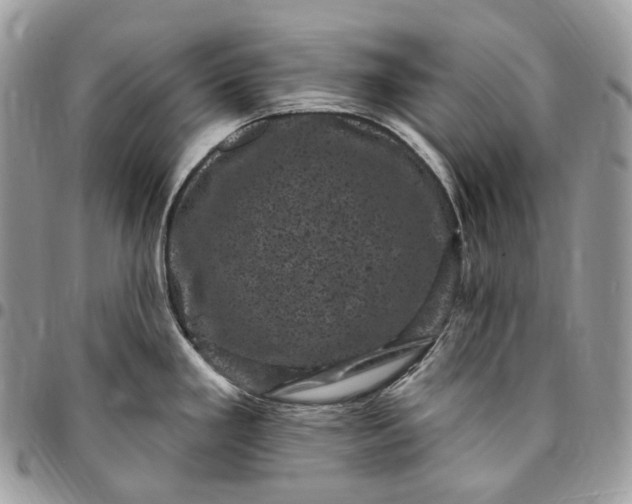 X0000095111293200712211312