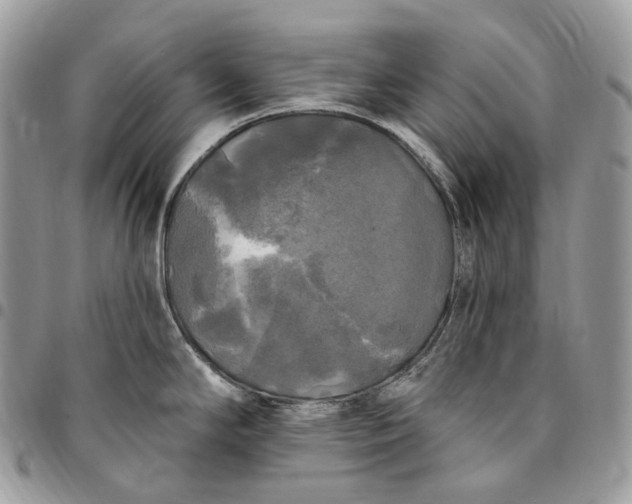 X0000095111294200712211312