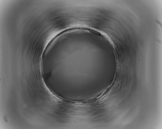 X0000095111295200712211312