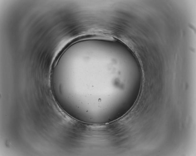 X0000095111296200712211312