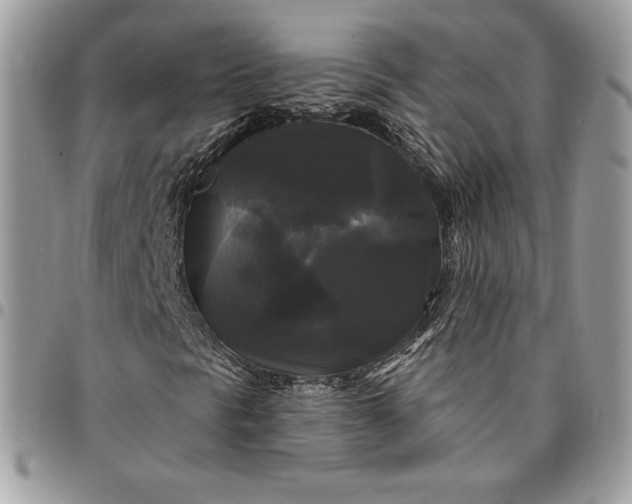 X0000095111297200712211311