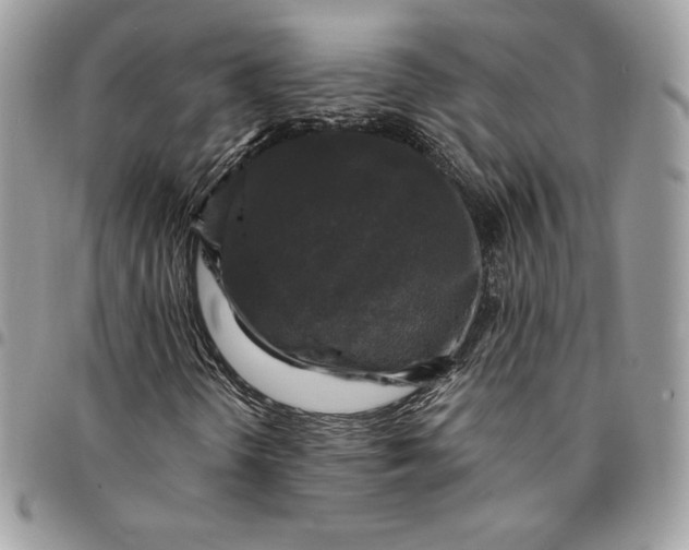 X0000095111298200712211311