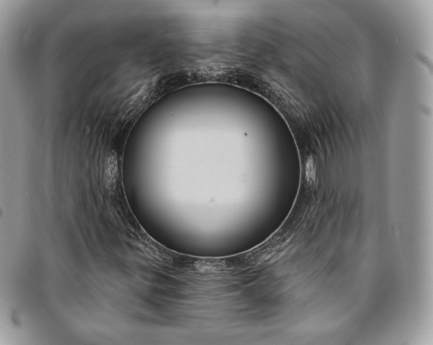 X0000095111299200712211312