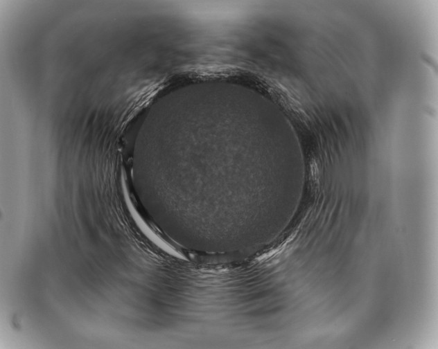 X0000095111300200712211312