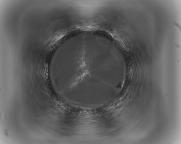 X0000095111301200712211312