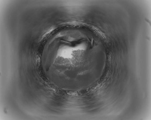 X0000095111302200712211312